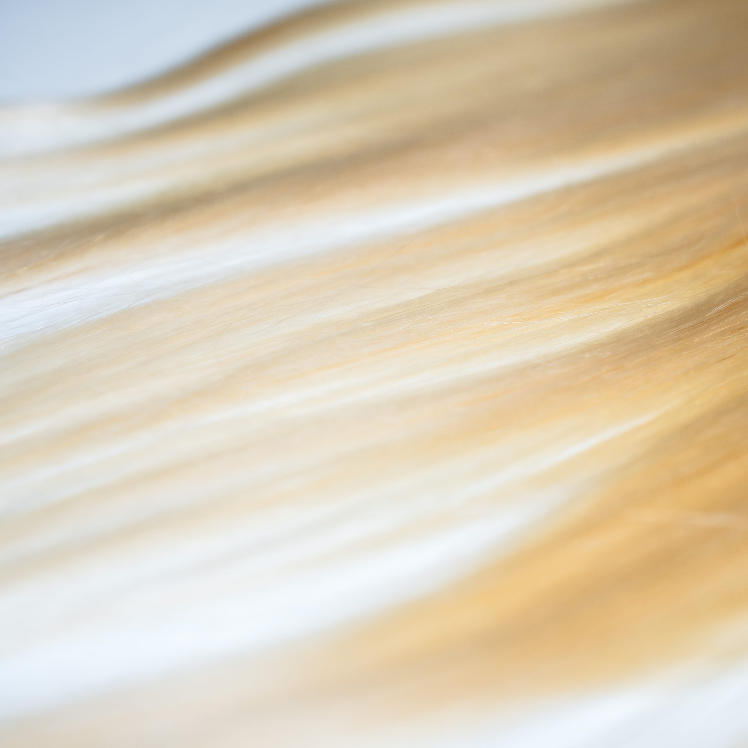 Lace-Frontal-Top-Virgin-Lisse-blonde-613