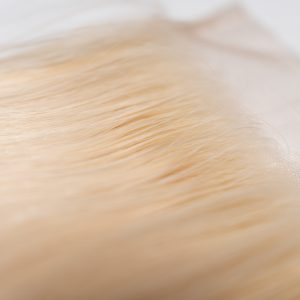 Closure Top Virgin Body Waves Blonde (613)